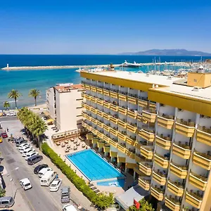 Palm Turkije